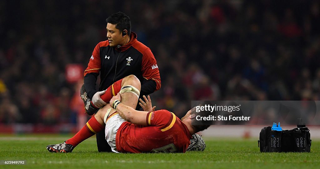 Wales v South Africa - International Match