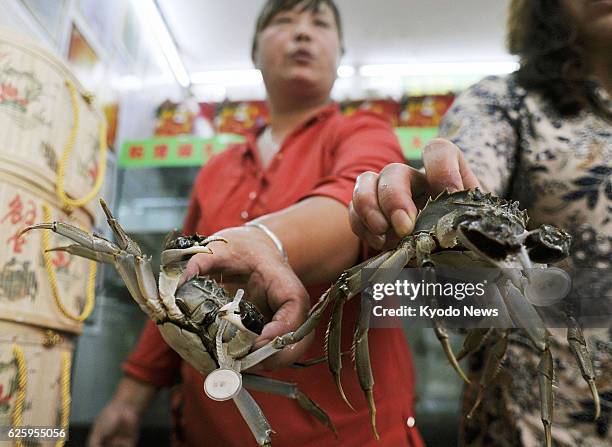 Shanghai, China - Chinese mitten crabs are pictured at a shop in Shanghai on Sept. 22, 2013. The consumption of the crabs and moon cakes has been...