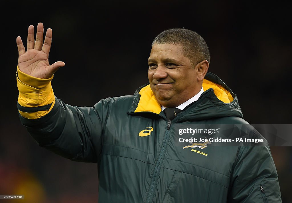 Wales v South Africa - Autumn International - Principality Stadium