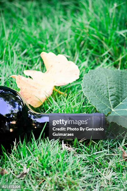 wine bottle - vinho stock pictures, royalty-free photos & images