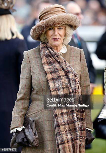 Camilla, Duchess of Cornwall watches the racing as she attends the 60th Hennessy Gold Cup at Newbury Racecourse on November 26, 2016 in Newbury,...