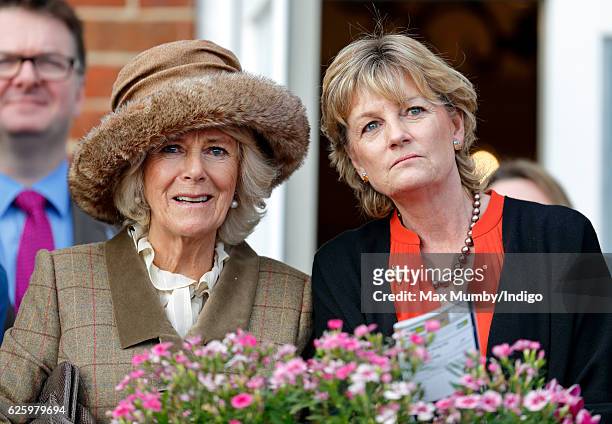 Camilla, Duchess of Cornwall and Madeleine Lloyd Webber watch the racing as they attend the 60th Hennessy Gold Cup at Newbury Racecourse on November...