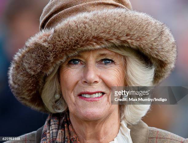 Camilla, Duchess of Cornwall attends the 60th Hennessy Gold Cup at Newbury Racecourse on November 26, 2016 in Newbury, England.