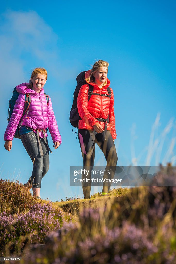 Young female hikers walking along idyllic summer heather mountain ridge