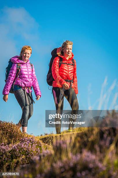 young female hikers walking along idyllic summer heather mountain ridge - welsh hills stock pictures, royalty-free photos & images