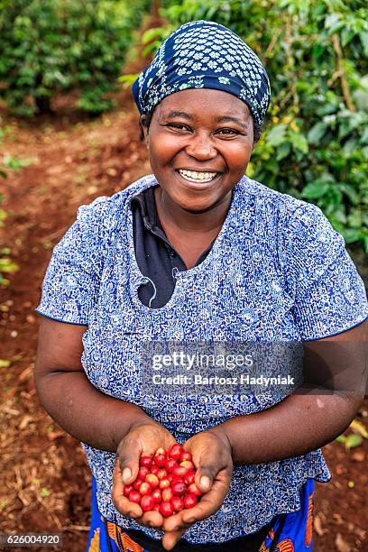 young african woman showing freshly picked coffee cherries, east africa - coffee plantations stockfoto's en -beelden