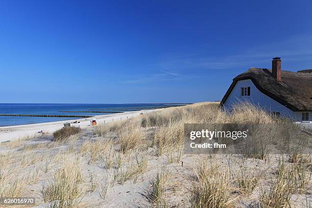 a house in the dunes and the nice beach of baltic sea (fischland, mecklenburg-vorpommern, germany) - かやぶき屋根 ストックフォトと画像