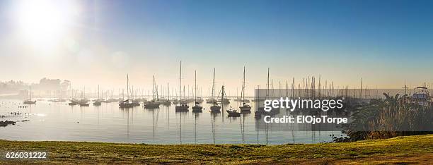 dawn in puertido del buceo, montevideo, uruguay - buceo stock pictures, royalty-free photos & images