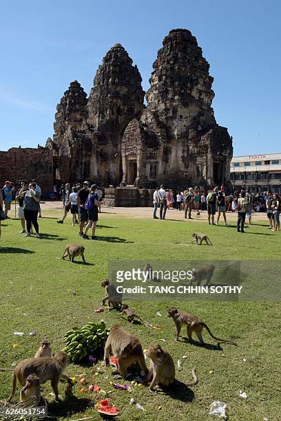 Monkeys eat fruit at an ancient temple during the annual "monkey buffet" in Lopburi province, north of Bangkok on November 27, 2016. It is a feast...