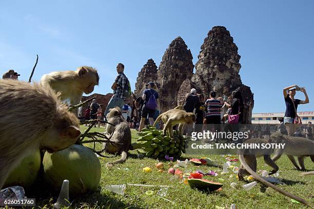 Monkeys eat fruit at an ancient temple during the annual "monkey buffet" in Lopburi province, north of Bangkok on November 27, 2016. It is a feast...