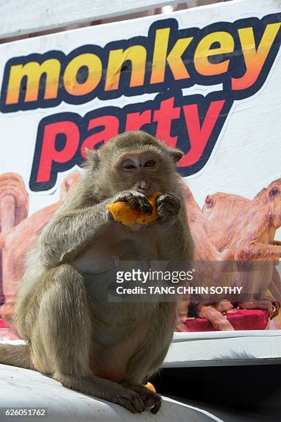 Monkey eats fruit near an ancient temple during the annual "monkey buffet" in Lopburi province, north of Bangkok on November 27, 2016. It is a feast...