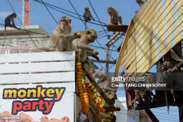 Monkeys eat fruit near an ancient temple during the annual "monkey buffet" in Lopburi province, north of Bangkok on November 27, 2016. It is a feast...