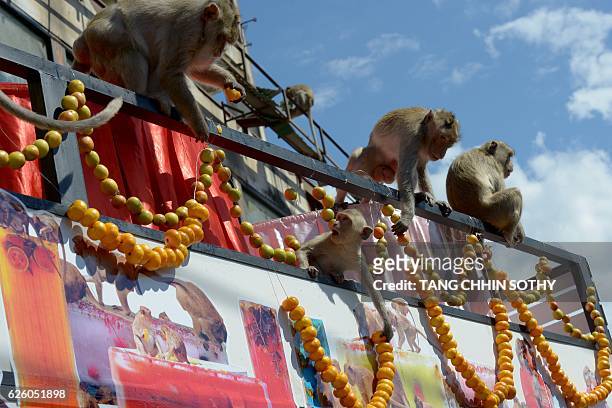 Monkey eat fruits and vegetables which were displayed in a van near an ancient temple during the annual "monkey buffet" in Lopburi province, north of...