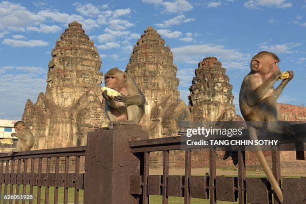 Monkeys eat bananas at an ancient temple during the annual "monkey buffet" in Lopburi province, north of Bangkok on November 27, 2016. It is a feast...