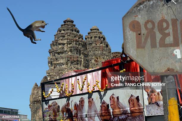 Monkey jumps onto a van loaded with fruits and vegetables near an ancient temple during the annual "monkey buffet" in Lopburi province, north of...