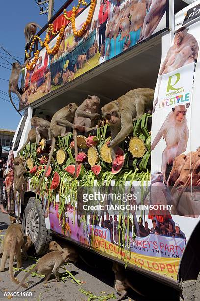 Monkeys eat fruits and vegetables which were set up in a van near an ancient temple during the annual "monkey buffet" in Lopburi province, north of...