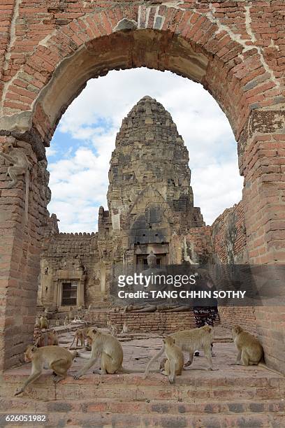 Monkeys jump up onto a tourist at an ancient temple during the annual "monkey buffet" in Lopburi province, north of Bangkok on November 27, 2016. It...