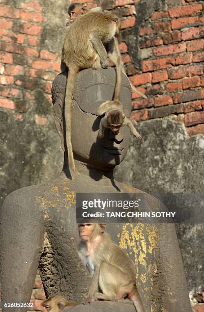 Monkeys climb up a Buddha statue at an ancient temple during the annual "monkey buffet" in Lopburi province, north of Bangkok on November 27, 2016....