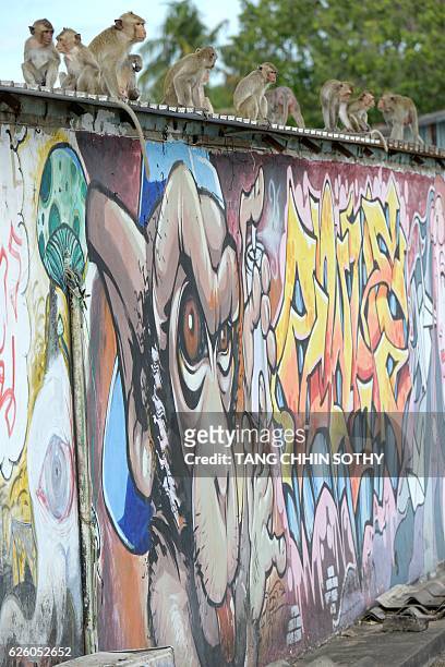 Monkeys sit above a wall with graffiti near an ancient temple during the annual "monkey buffet" in Lopburi province, north of Bangkok on November 27,...
