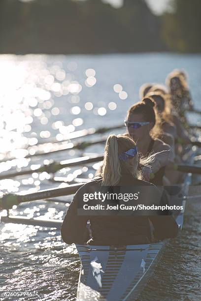 junior women 8 rowing - coxswain stock pictures, royalty-free photos & images