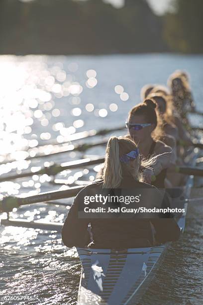 junior women 8 rowing - coxed rowing bildbanksfoton och bilder