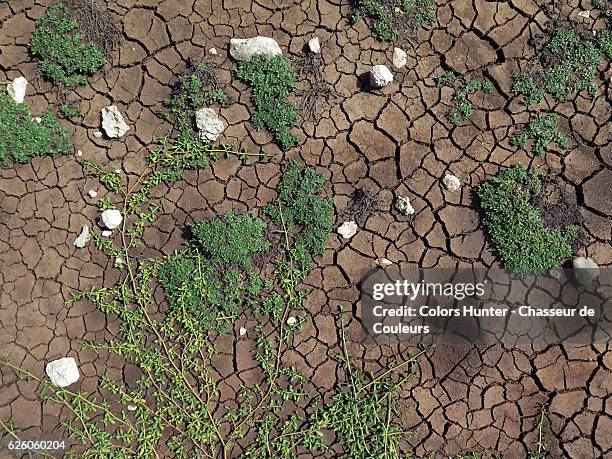 during the dry season - french overseas territory photos et images de collection