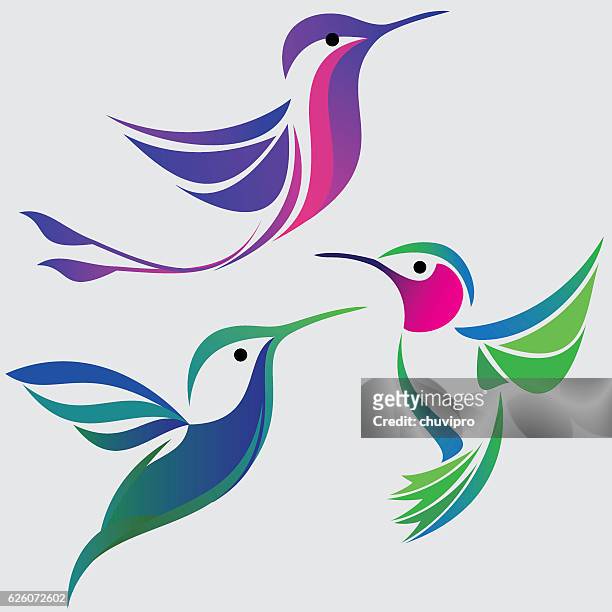 stockillustraties, clipart, cartoons en iconen met stylized hummingbirds set - kolibrie