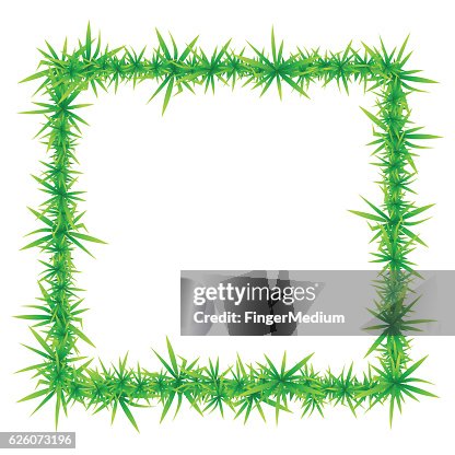 Grass frame Grass frame