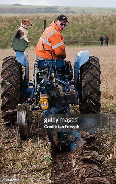 Competitor begins to plough during the annual ploughing match on November 27, 2016 in Staithes, United Kingdom. The event which is held each year in...