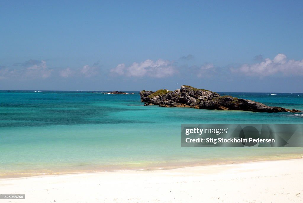 Turtle Bay Bermuda