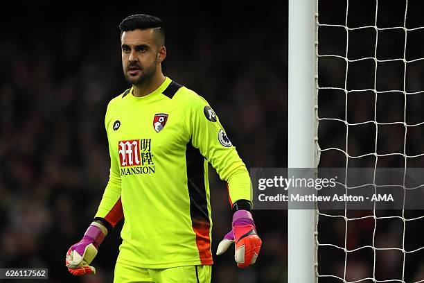 Adam Federici of Bournemouth looks on during the Premier League match between Arsenal and AFC Bournemouth at Emirates Stadium on November 27, 2016 in...