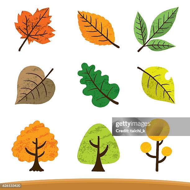 various fallen leaves - japanese maple tree stock illustrations