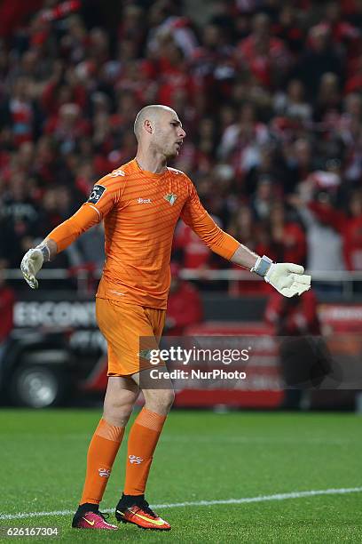 Moreirenses goalkeeper Giorgi Makaridze during Premier League 2016/17 match between SL Benfica and Moreirense FC, at Estadio da Luz in Lisbon on...