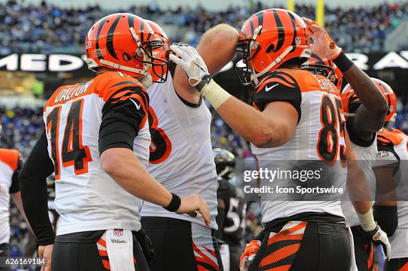 NFL: NOV 27 Bengals at Ravens NFL: NOV 27 Bengals at Ravens
