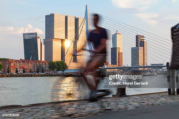 skyline rotterdam, niederlande - erasmusbrücke stock-fotos und bilder