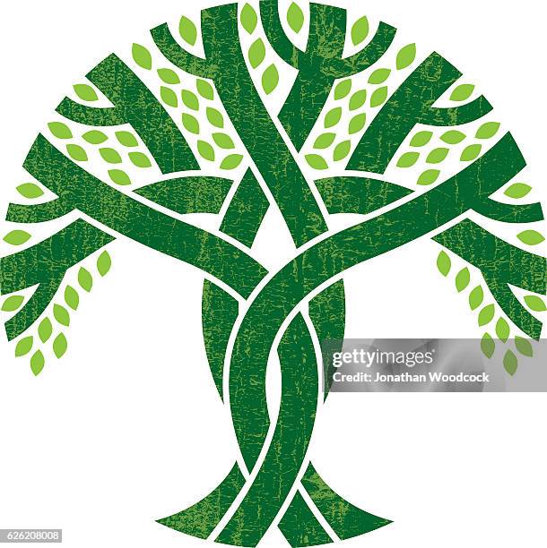 verflochtene baum-logo-illustration - intertwined stock-grafiken, -clipart, -cartoons und -symbole