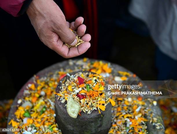 Nepalese Hindu devotee offers various plant seeds during the Balachaturdashi festival at the Pashupatinath temple in Kathmandu on November 28, 2016....