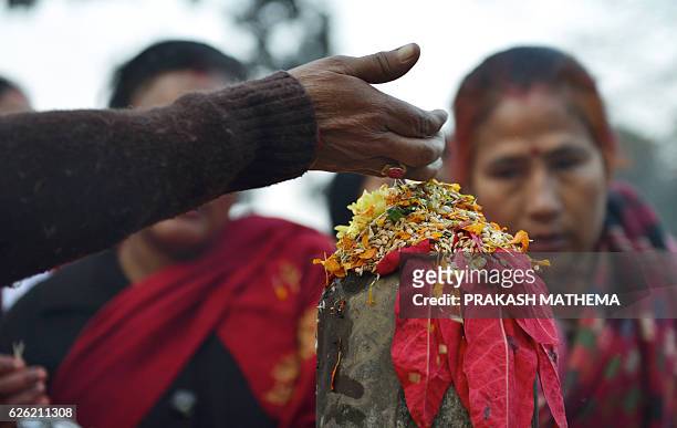 Nepalese Hindu devotee offers various plant seeds during the Balachaturdashi festival at the Pashupatinath temple in Kathmandu on November 28, 2016....