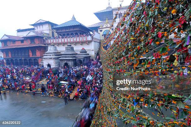 Nepalese devotees offering ritual prayer as tighten religious rope seen consists of flower, fruits and holy grains at the Pashupatinath Temple on the...