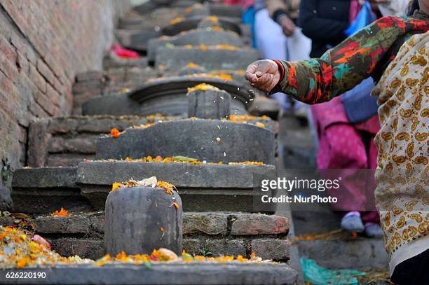 Nepalese devotees offering holy grains 'Satbij' mixed of 7 types of grain on the occasion of Bala Chaturdashi festival celebrated in the premises of...