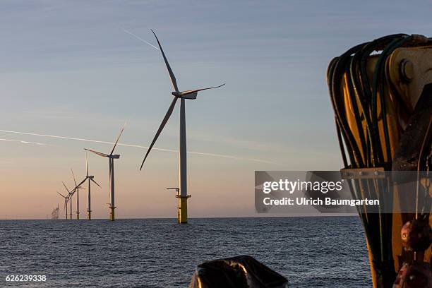 Wind turbines in the offshore wind farm Amrumbank West of the E.ON SE.