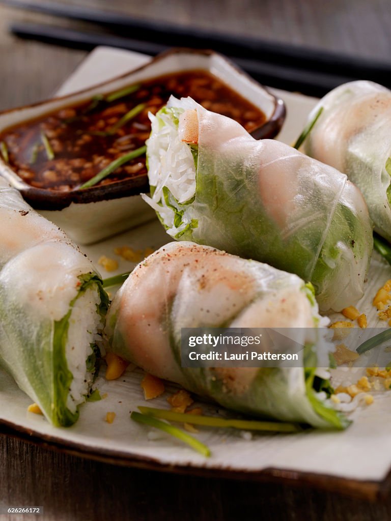 Shrimp and Rice Noodle Salad Rolls