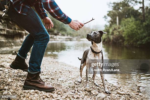 austin river adventure with dog - apporteren stockfoto's en -beelden
