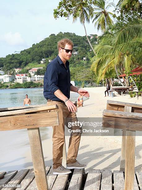 Holidaymakers greet Prince Harry as he visits mangrove and coral restoration projects on Grand Anse Beach as he visits mangrove restoration projects...