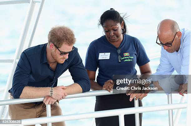 Prince Harry visits the coral reef off Grand Anse Beach as he visits mangrove restoration projects ahead of visiting the coral reef on the ninth day...