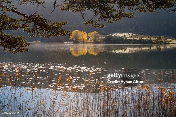 fall colours at lake abant ,bolu,turkey - abant turkey stockfoto's en -beelden