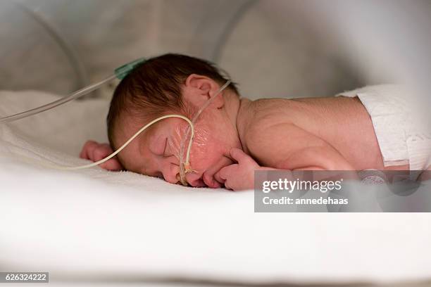 prematuro bebê dormir - prematuro imagens e fotografias de stock