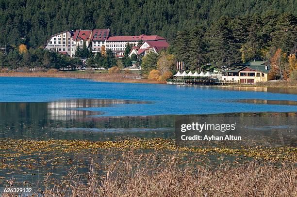 fall colours at lake abant,bolu,turkey - abant turkey stockfoto's en -beelden