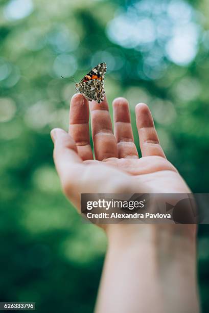 butterfly on woman's hand - butterfly hand stock-fotos und bilder