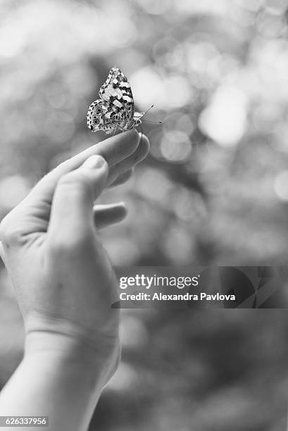 butterfly on woman's hand - alexandra pavlova foto e immagini stock